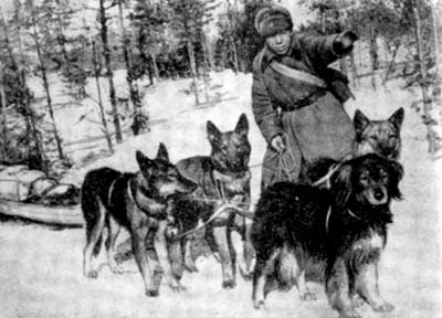 На помощь раненым Ленинградский фронт - 1942