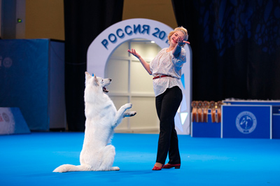 ZOOпортал.pro :: Международная выставка собак ранга CACIB-IKU г. Москва «ЧЕМПИОНАТ РОССИИ 2021»